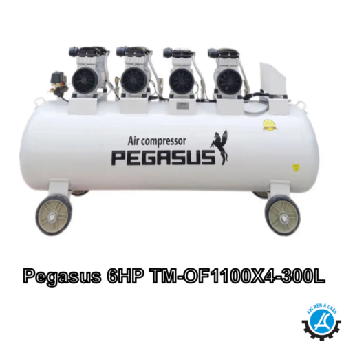 may-nen-khi-Pegasus 6HP TM-OF1100X4-300L