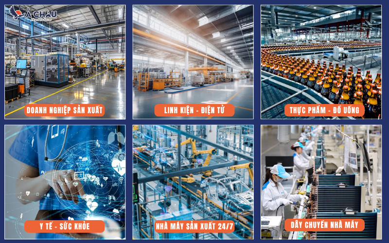 Các doanh nghiệp nên lựa chọn Gold Service