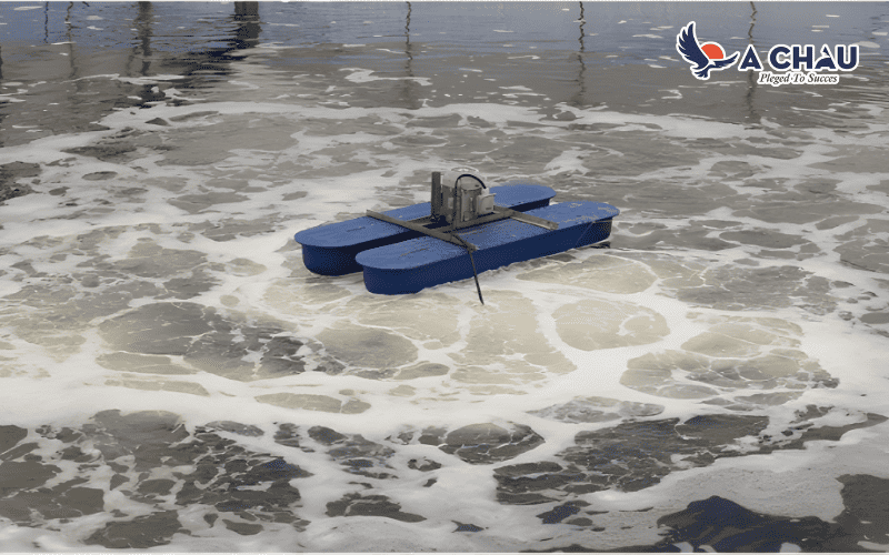 Ứng dụng của bơm hút chân không kết hợp cùng máy thổi khí trong nuôi tôm