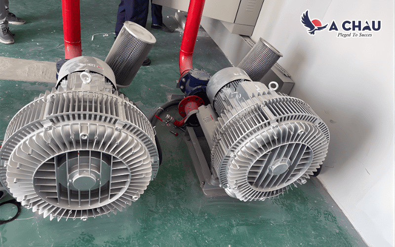 Vệ sinh lọc máy thổi khí con sò