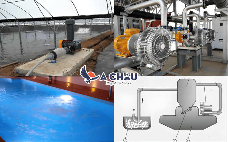 Các ứng dụng điển hình của máy thổi khí
