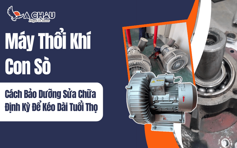 Cách bảo dưỡng sữa chữa máy thổi khí con sò