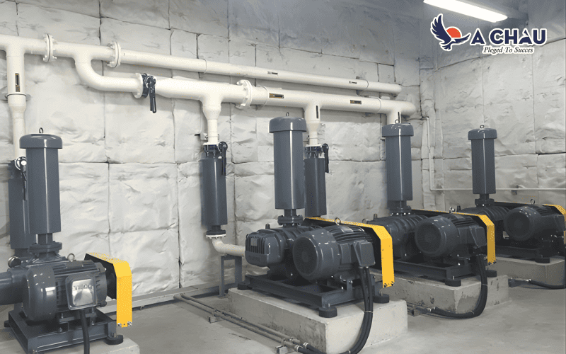 Hệ thống máy thổi khí