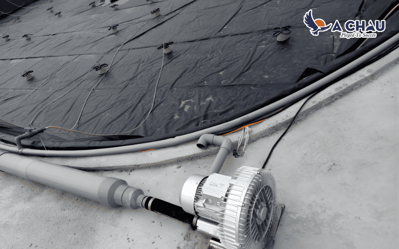 Máy thổi khí con sò trong nuôi trồng thủy sản