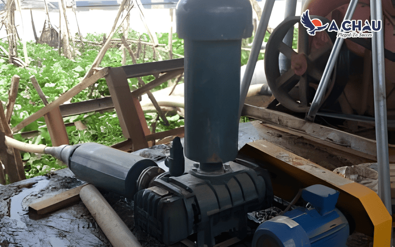 Máy thổi khí heywel trong nuôi cá