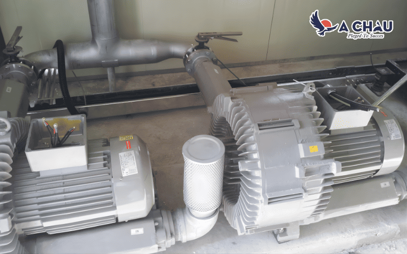 Bảo dưỡng sửa chữa máy thổi khí con sò