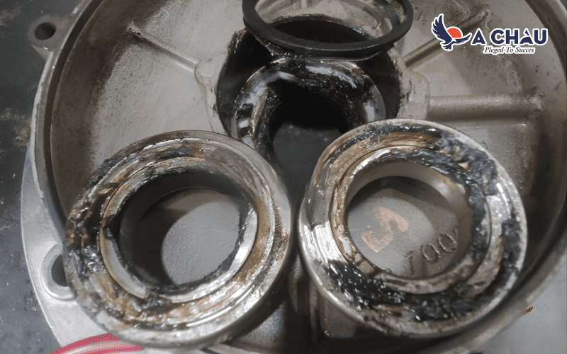 Vòng bi máy thổi khí con sò bị mòn