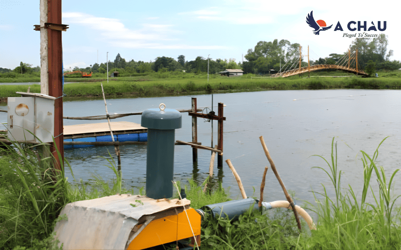 Máy thổi khí Heywel sử dụng trong nuôi trồng thủy sản