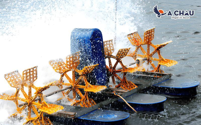 Máy thổi khí giúp hòa tan không khí trong ao nuôi