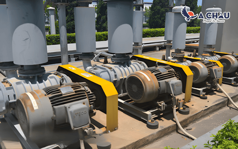 máy thổi khí Longtech trong nuôi trồng thủy sản