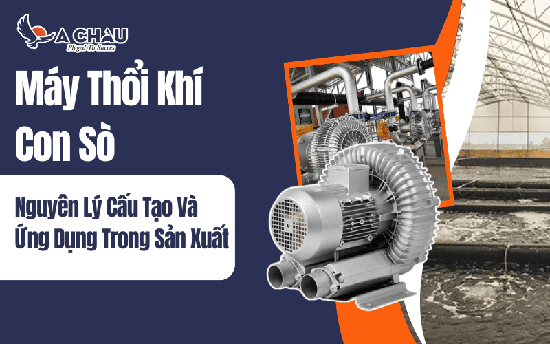 Nguyên lý cấu tạo và ứng dụng trong sản xuất của máy thổi khí con sò