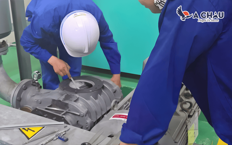 Thợ chuyên nghiệp bảo dưỡng máy thổi khí