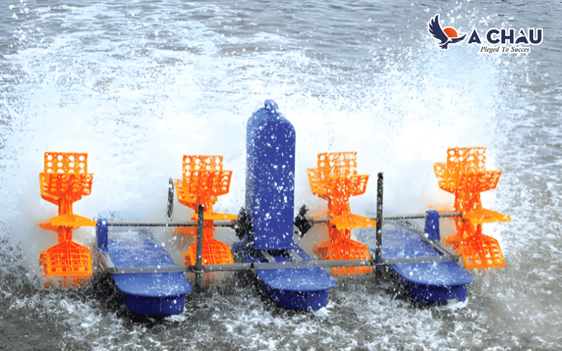 Vai trò của máy thổi khí trong nuôi trồng thủy sản